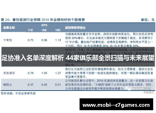 足协准入名单深度解析 44家俱乐部全景扫描与未来展望