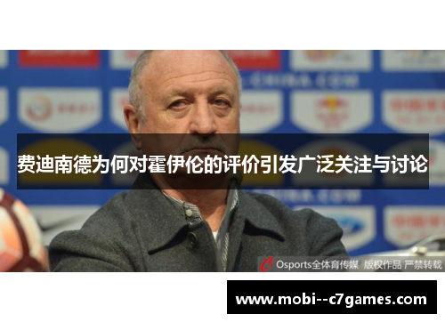 费迪南德为何对霍伊伦的评价引发广泛关注与讨论 费迪南德为何对霍伊伦的评价引发广泛关注与讨论