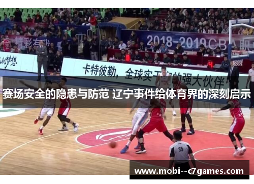 赛场安全的隐患与防范 辽宁事件给体育界的深刻启示 赛场安全的隐患与防范 辽宁事件给体育界的深刻启示